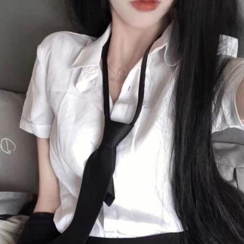 模范刑警第二季